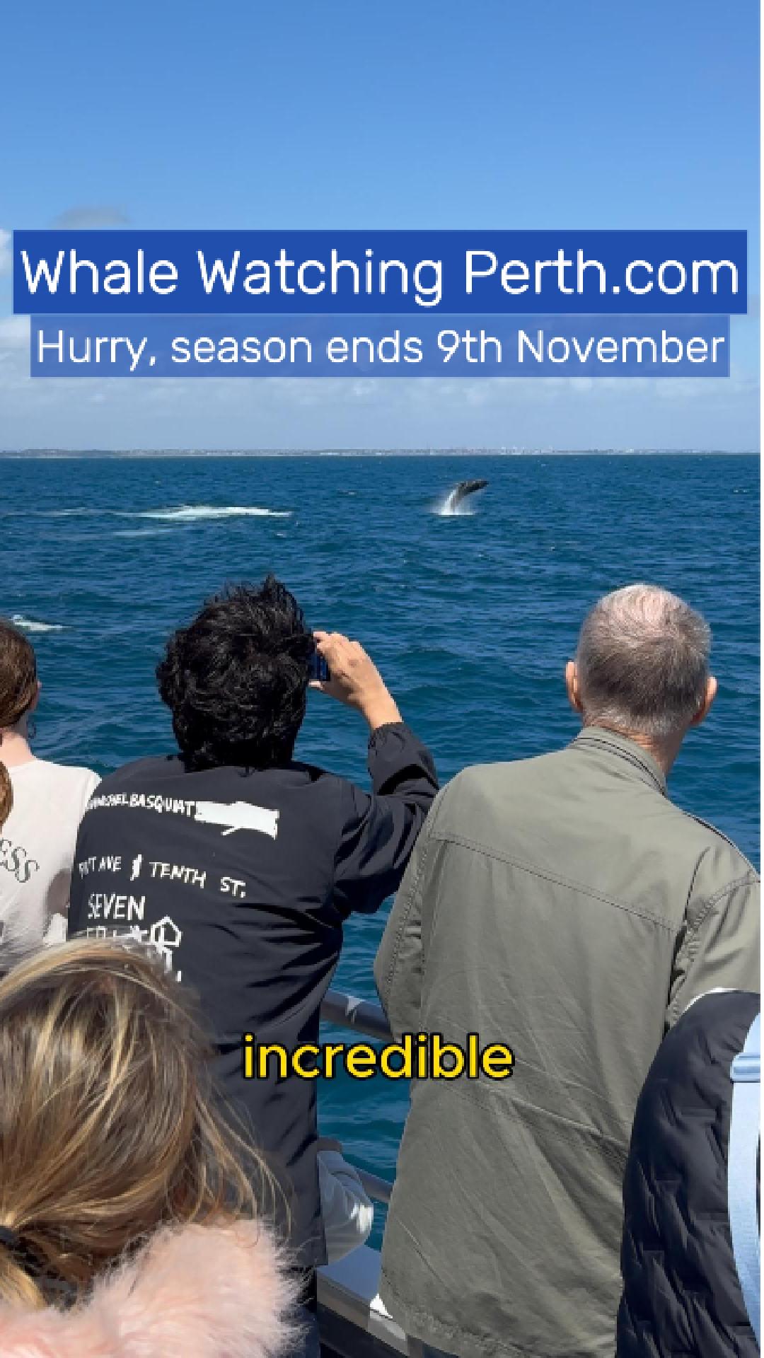 Whale Watching Perth, people taking photos of whales